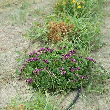 A Un Passo Dal Mare *