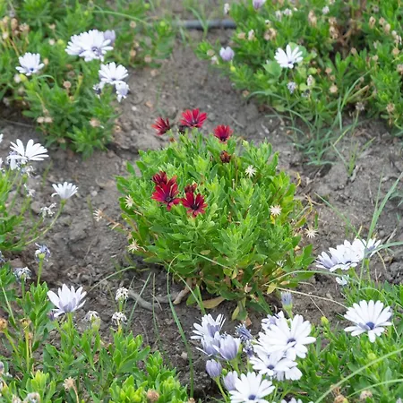 A Un Passo Dal Mare *