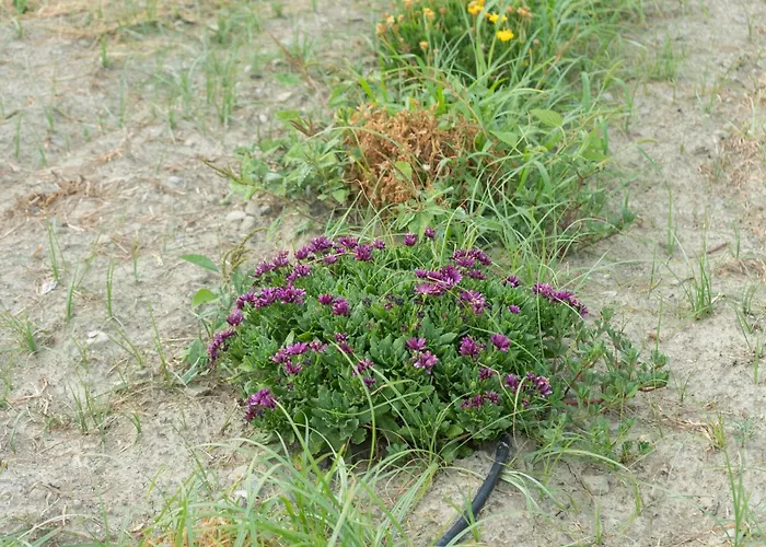 A Un Passo Dal Mare *