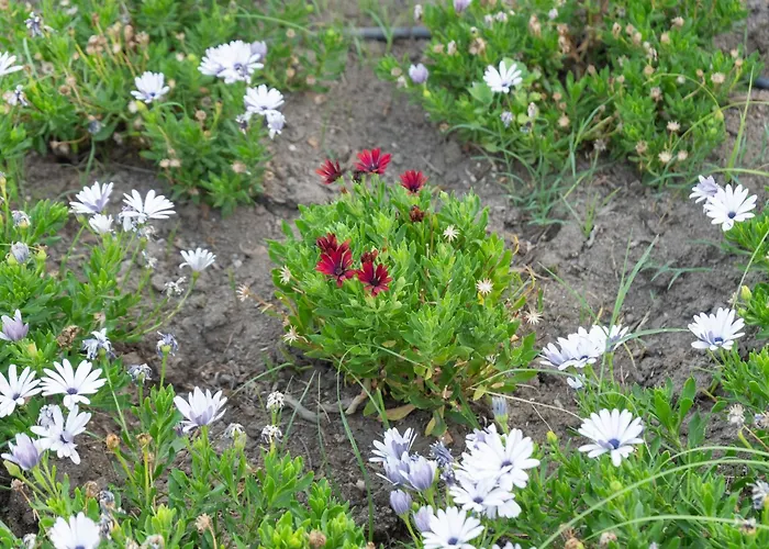 A Un Passo Dal Mare *